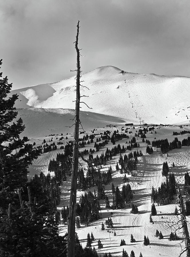 Imperial Bowl and Peak 8 at Breckenridge Resort Colorado Photograph by Brendan Reals