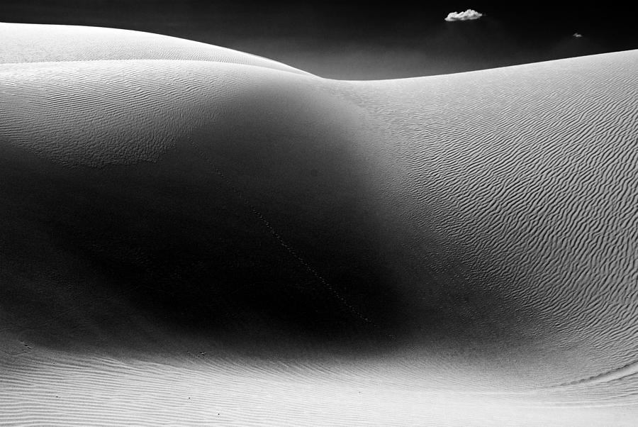 Sand Dunes Photograph - Imperial Dunes 550 by Hans Mauli