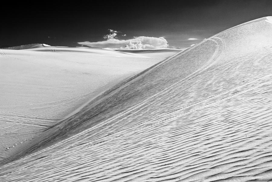 Sand Dunes Photograph - Imperial Dunes 567 by Hans Mauli