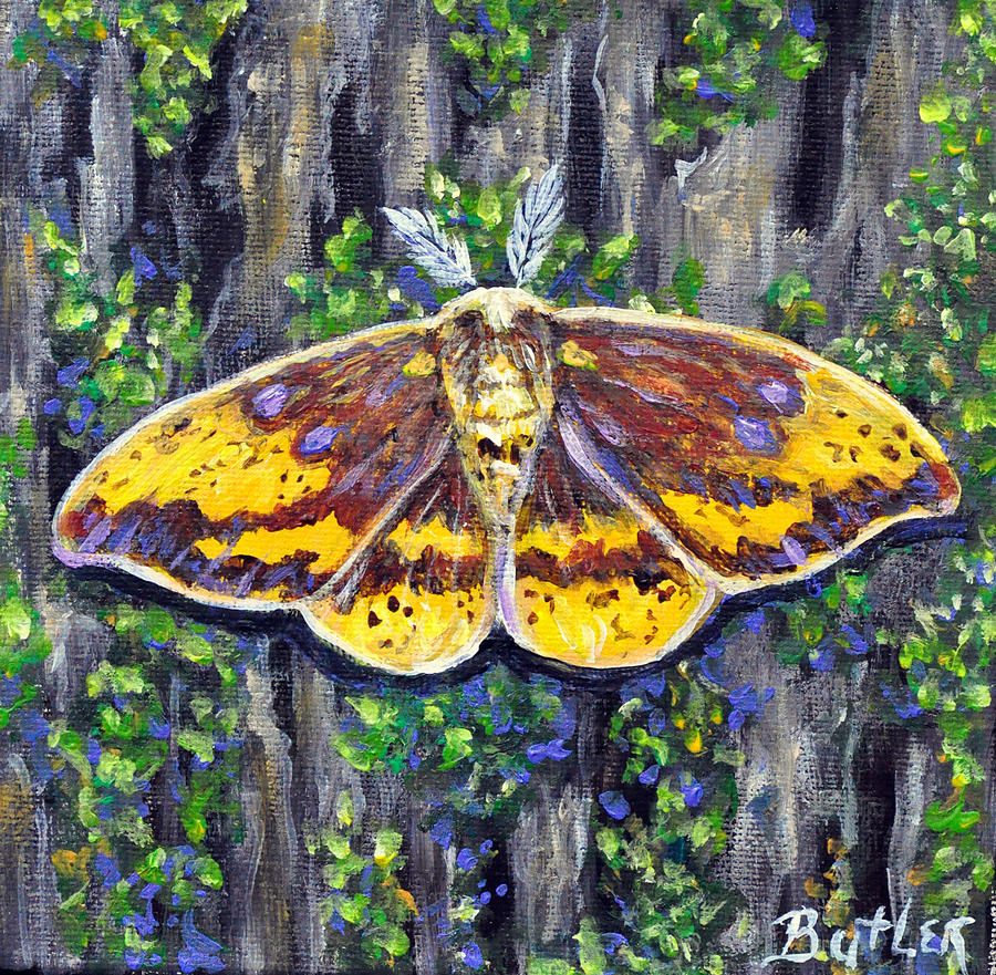 Imperial Moth Painting by Gail Butler