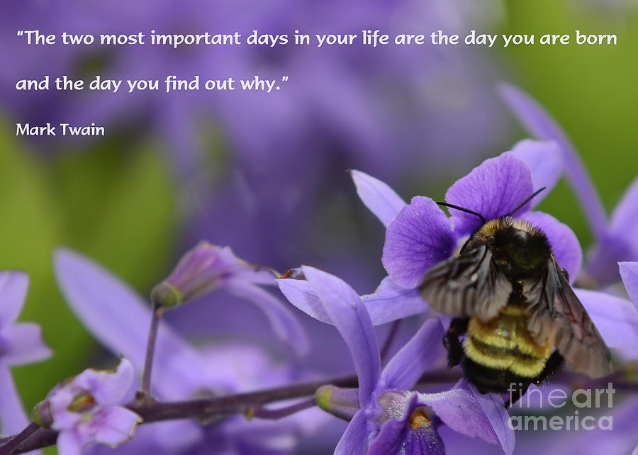 Important Days in Your Life Photograph by Olga Hamilton
