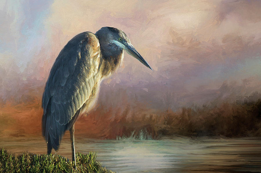 Impression of a Blue Heron Photograph by Morgan Wright