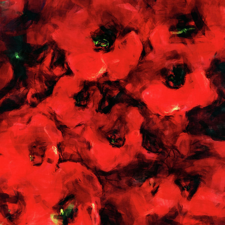 Impression of poppies Painting by Jan Keteleer
