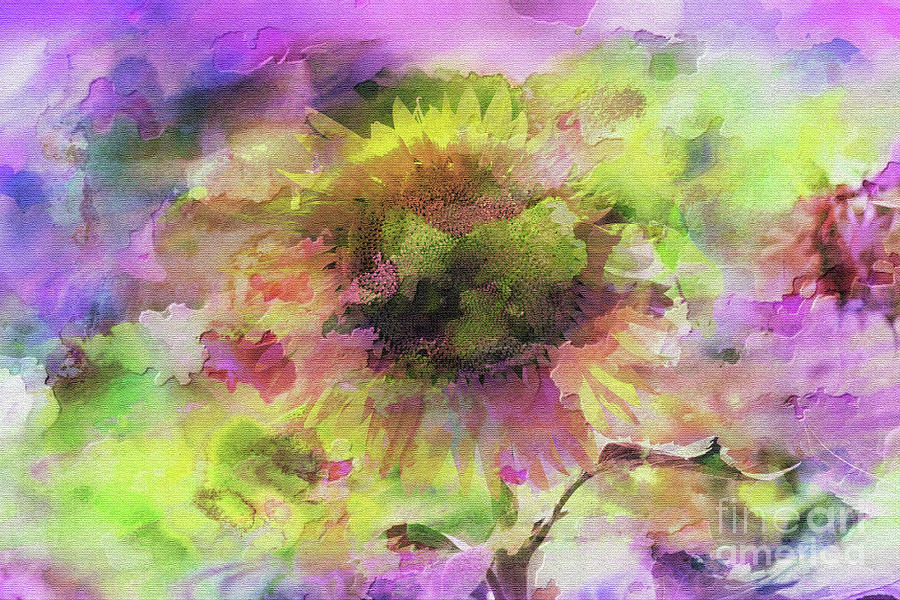Impression Sunflower Photograph by Geraldine DeBoer