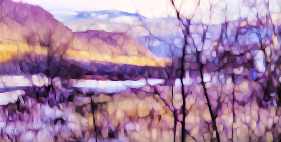 Abstract Photograph - Impressionist Along The River by Theresa Tahara