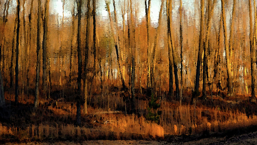 Impressionist Autumn Landscape Reflection 7314 IDP_3 Photograph by Steven Ward