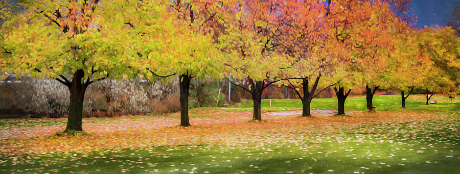 Impressionist Autumn Photograph by Theresa Tahara
