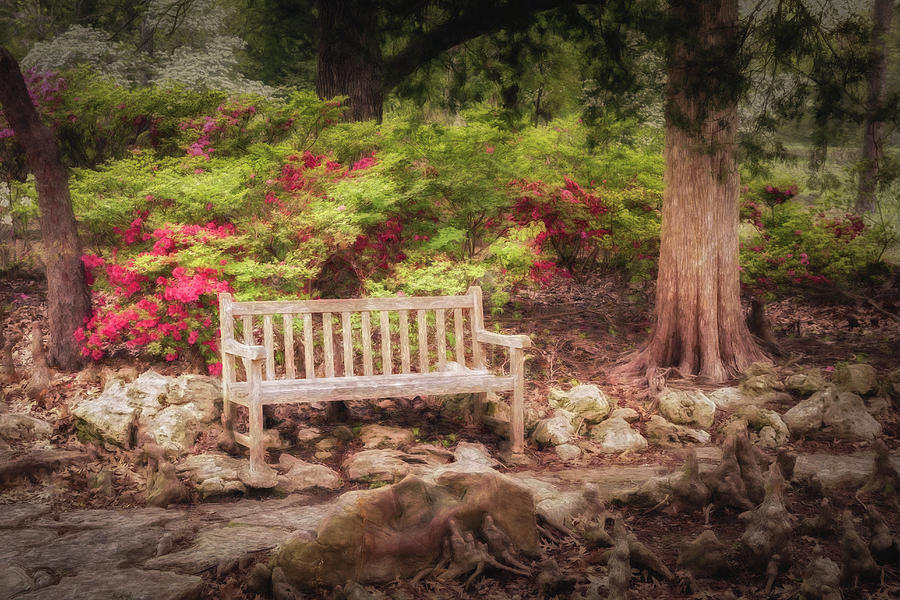Impressionist Bench Photograph by James Barber
