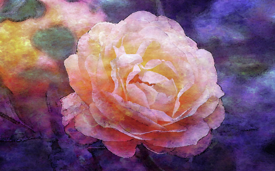 Impressionist Blush Rose 0366 IDP_2 Photograph by Steven Ward