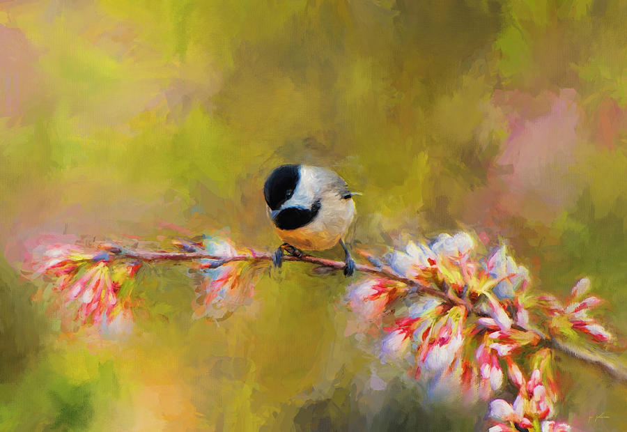 Impressionist Chickadee Painting by Jai Johnson