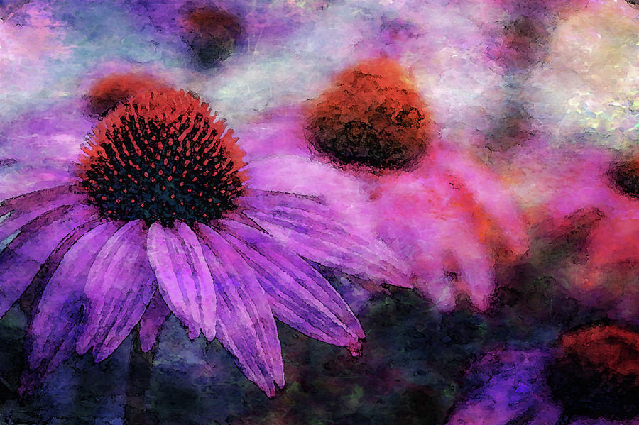 Impressionist Coneflowers 3548 IDP_2 Photograph by Steven Ward
