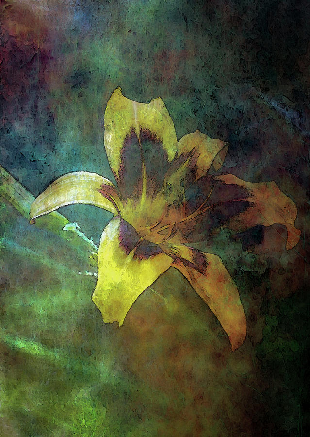 Impressionist Contrasting 1275 IDP_2 Photograph by Steven Ward