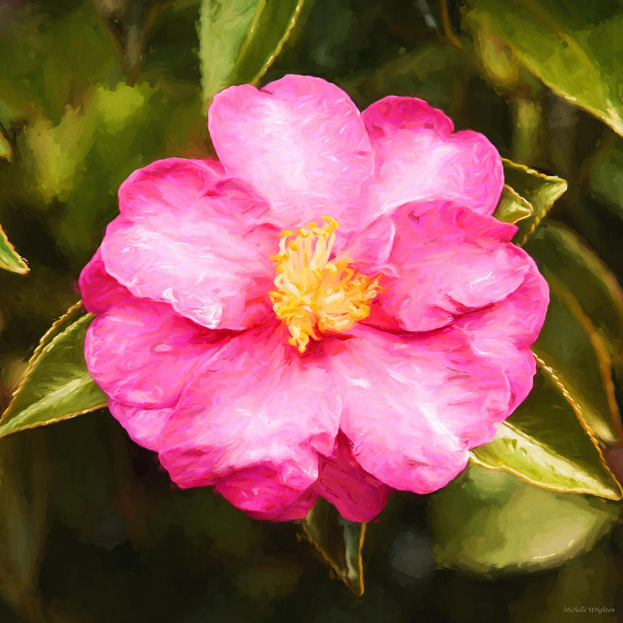 Impressionist Floral Pink Camelia Photograph by Michelle Wrighton