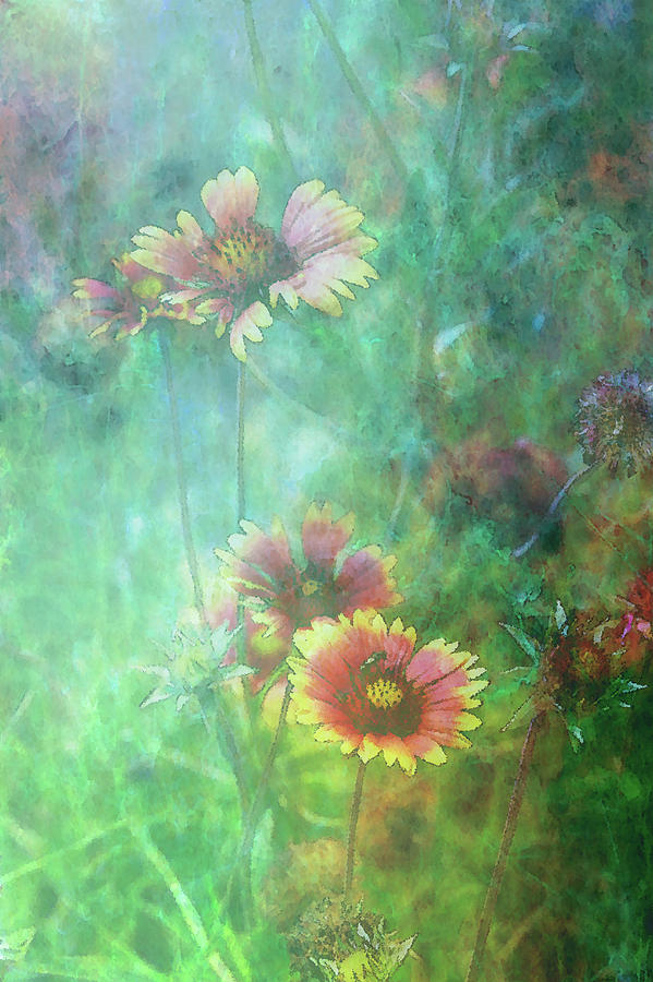 Impressionist Indian Blanket 2082 IDP_2 Photograph by Steven Ward