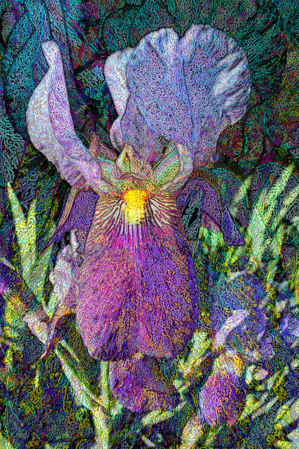 Impressionist Iris Photograph