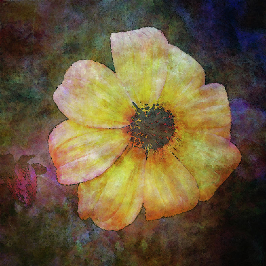 Impressionist Light In The Dark 4736 IDP_2 Photograph by Steven Ward