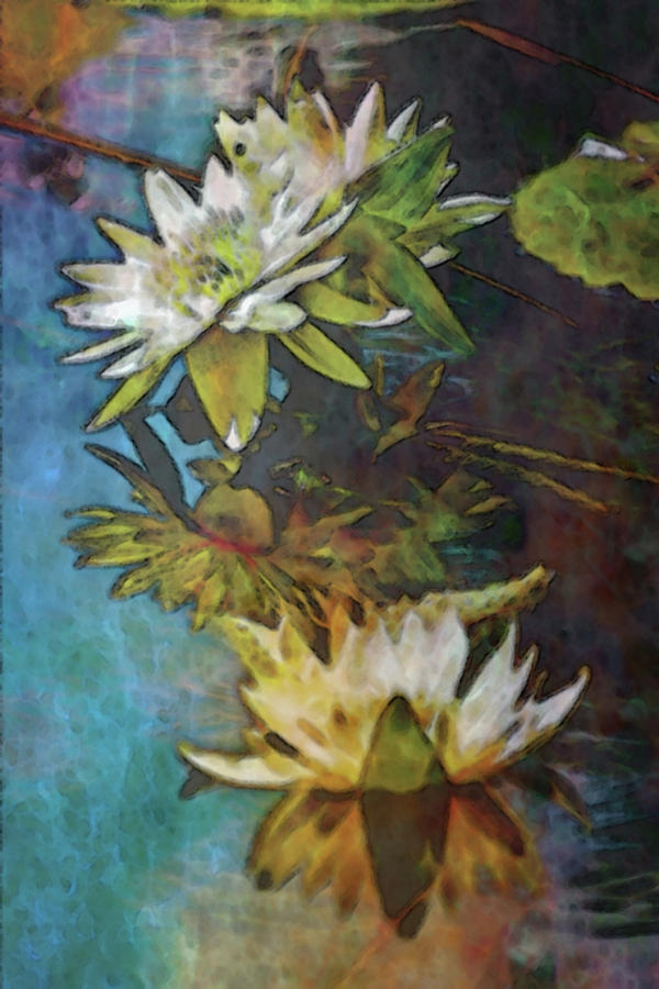 Impressionist Lotus on the Mirror 2983 IDP_2 Photograph by Steven Ward