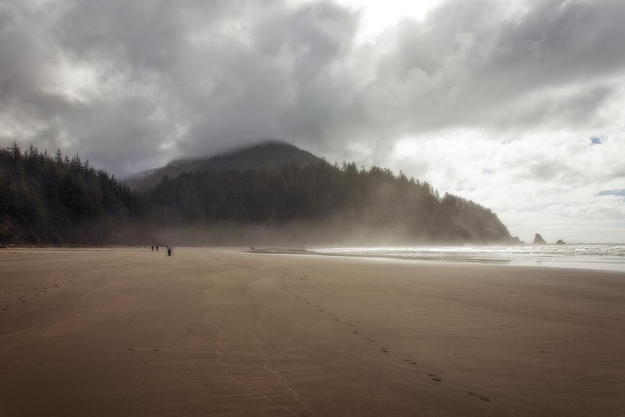Impressionist Oregon Coast Photograph by Diana Powell