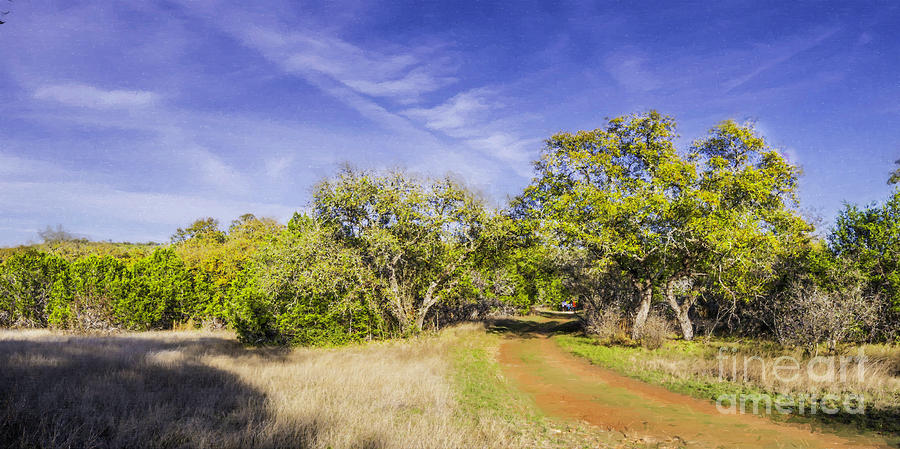 Impressionist Painting Panorama of a Texas Hill Country landscape at Pedernales Falls State Park  Photograph by Silvio Ligutti