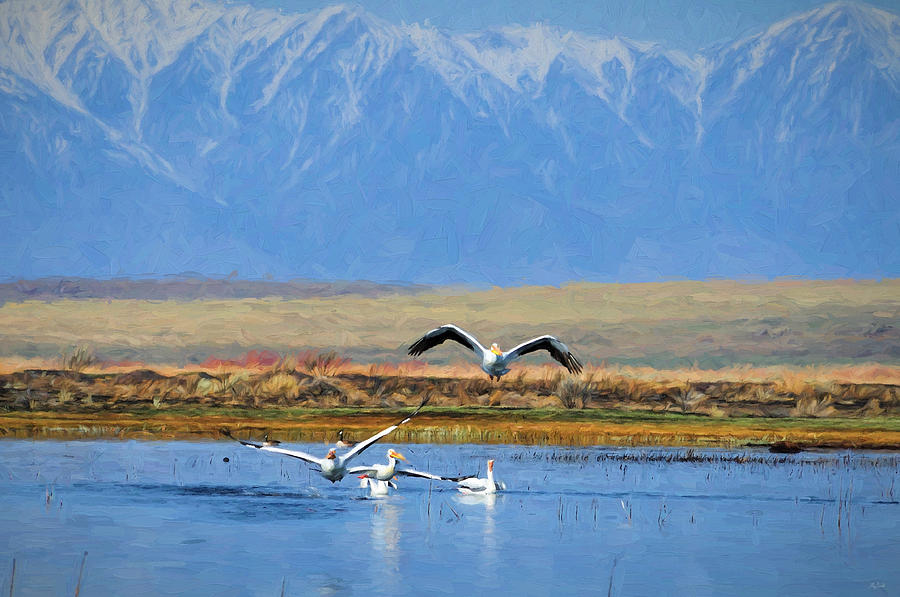 Impressionist Pelicans And Peaks Photograph