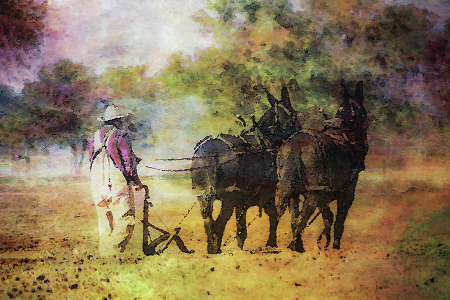 Impressionist Plowing With Mules 5630 IDP_2 Photograph by Steven Ward