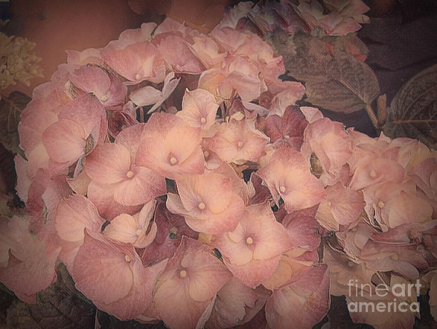 Impressionist Summer Hydrangea Photograph by Luther Fine Art