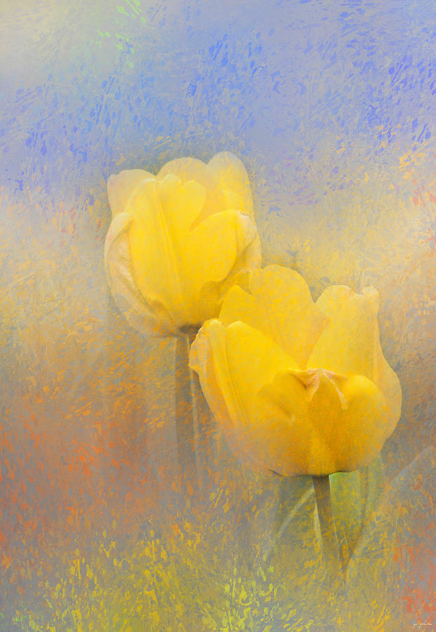 Impressionist Tulips Photograph by Jai Johnson