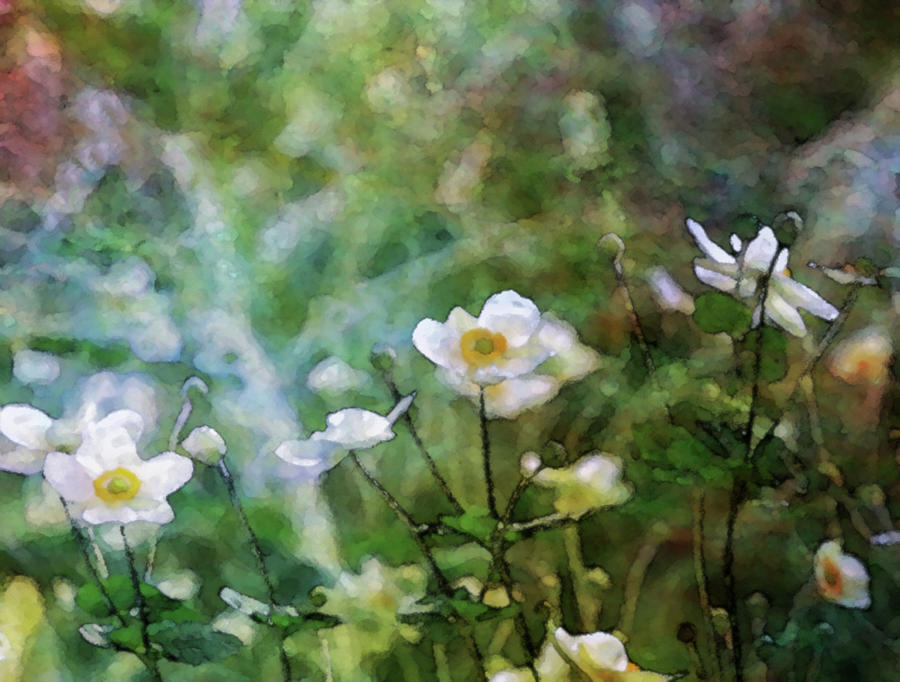 Impressionist White Flowers in the Garden 4765 IDP_2 Photograph by Steven Ward