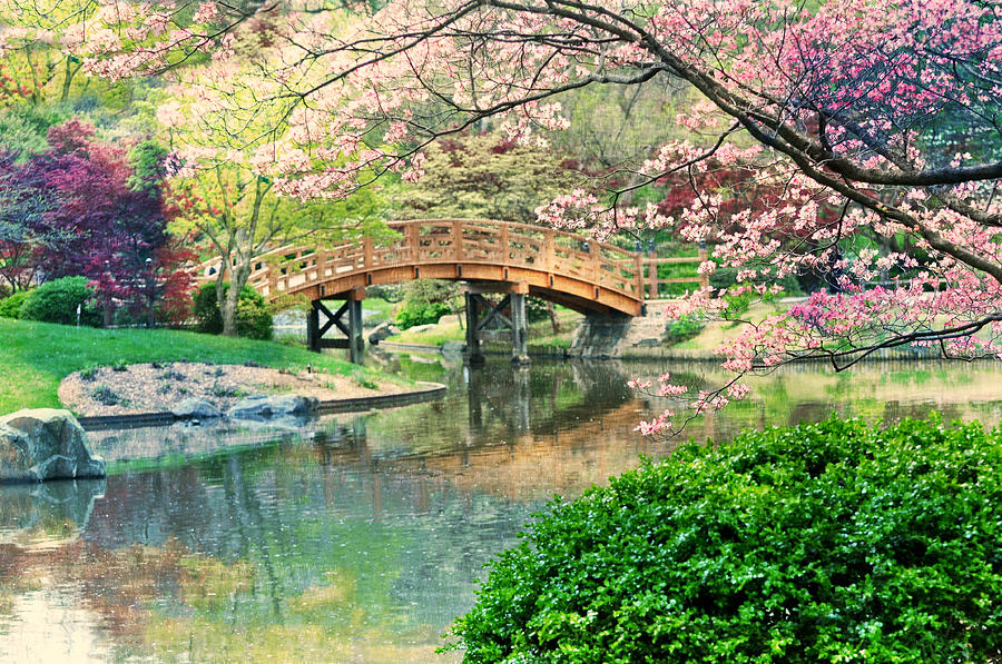 Impressionistic Bridge Photograph