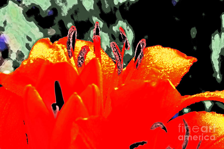 Impressionistic, Lilies, Stamen Photograph by David Frederick