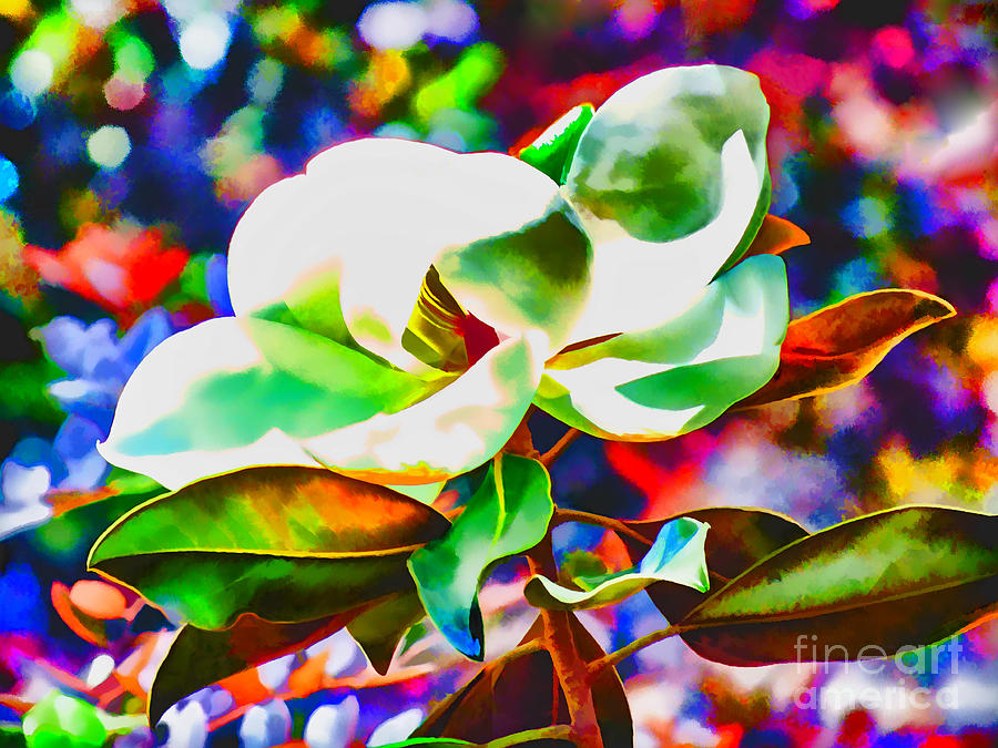 Impressionistic Magnolia  Photograph by Frances Ann Hattier
