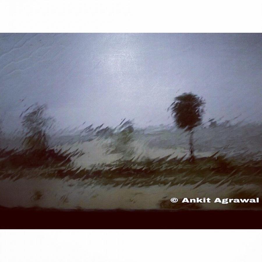 Tree Photograph - #impressionistic View Outside My #train by Ankit Agrawal