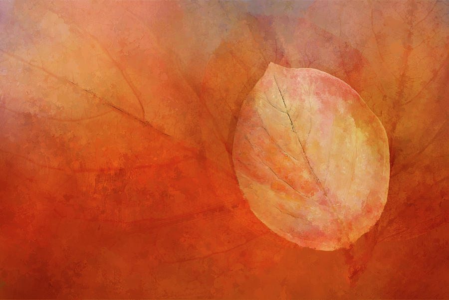 Impressions of Autumn Digital Art by Terry Davis