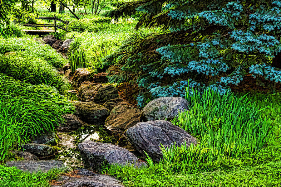 Impressions of Gardens - a Miniature Creek Through the Fresh Spring Green Digital Art by Georgia Mizuleva
