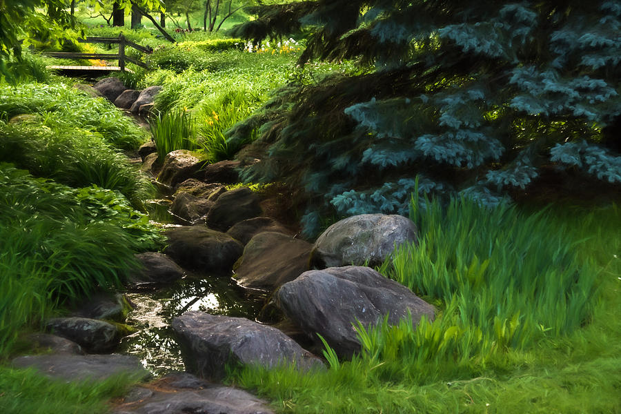 Impressions of Gardens - a Miniature Spring Creek Through the Fresh Green Digital Art by Georgia Mizuleva
