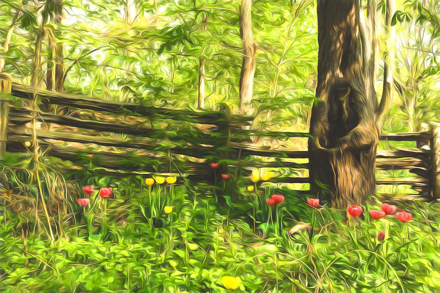 Impressions of Gardens - Colorful Tulips and a Rustic Fence Painting by Georgia Mizuleva