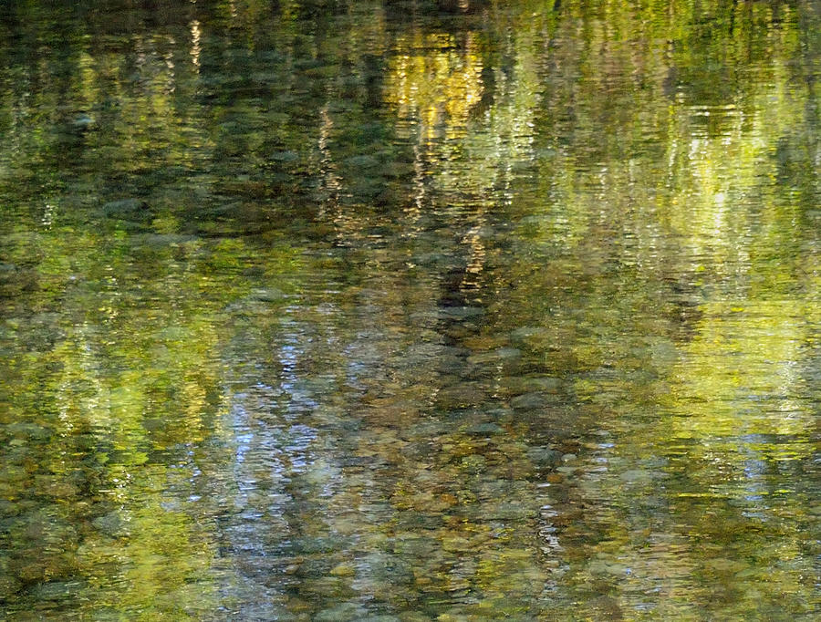Impressions of Monet Photograph by Carol Eade