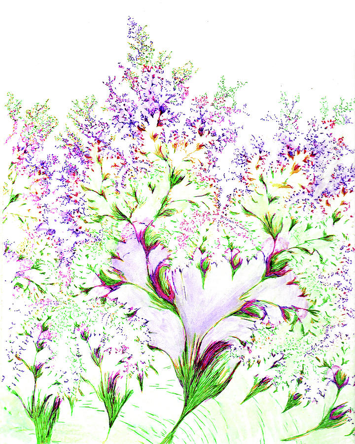 Impressions of Spring Drawing by Michele A Loftus