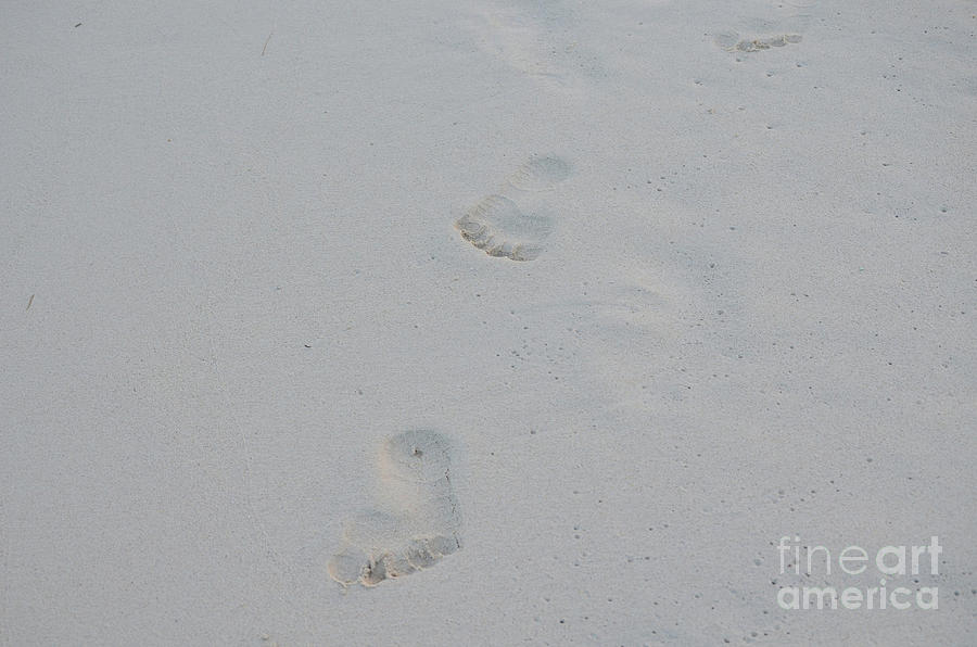 Imprinted Footprints in the White Sand in Aruba Photograph by DejaVu Designs