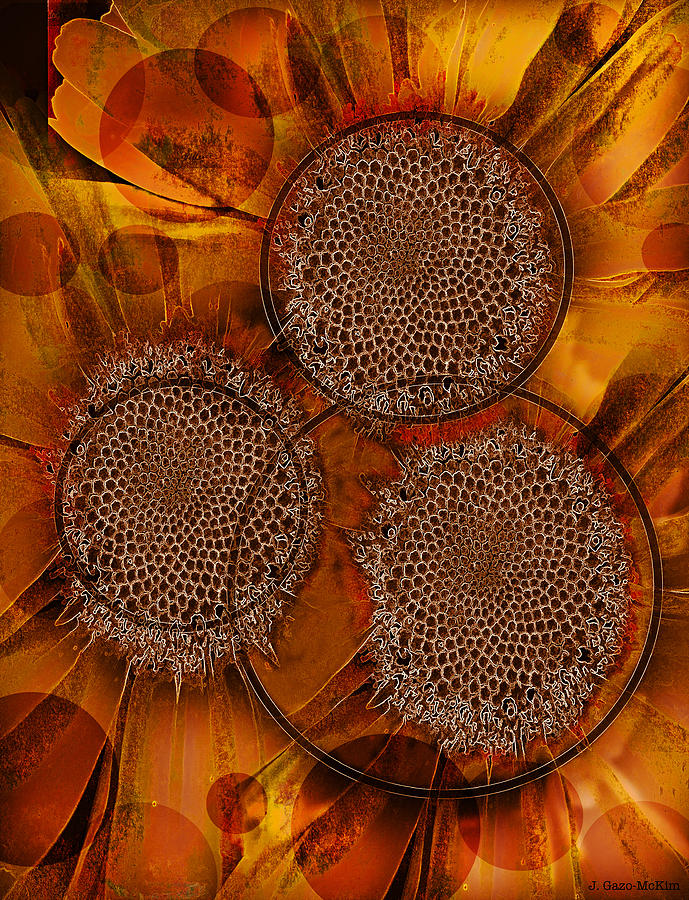 Flower Digital Art - Imprinted by Jo-Anne Gazo-McKim