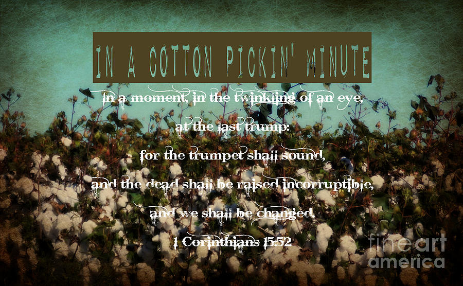 In A Cotton Pickin Minute Photograph