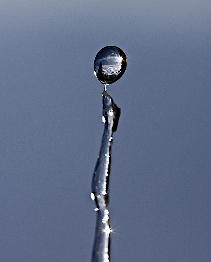 Winter Photograph - In a drip by Robert Pearson