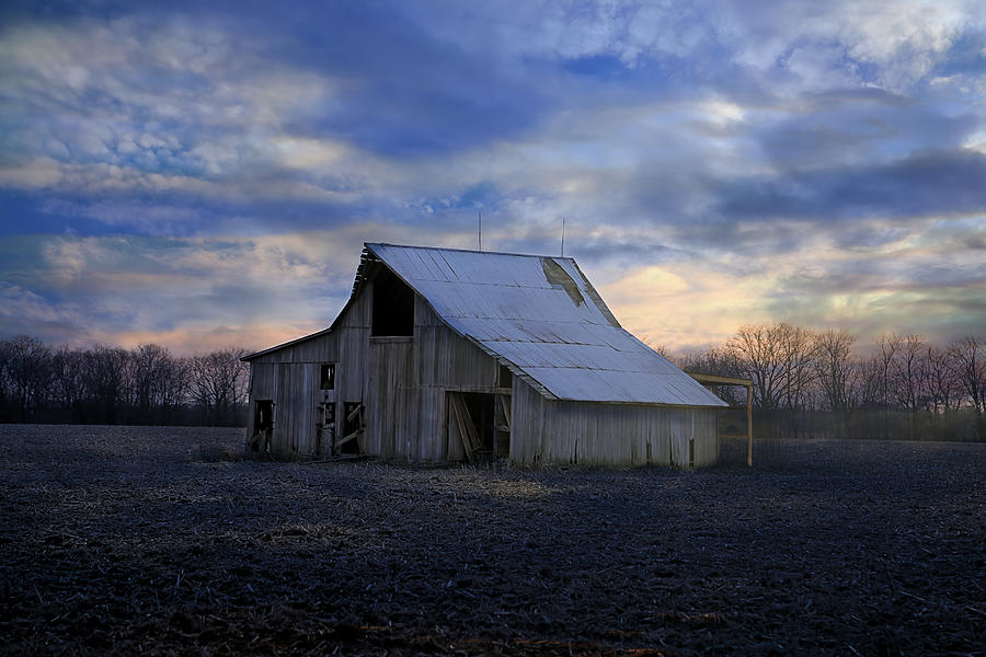 Sunset Photograph - In A Field Far, Far Away by Theresa Campbell