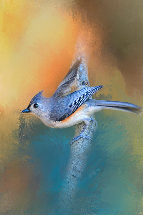 Titmouse Photograph - In A Flash by Jai Johnson