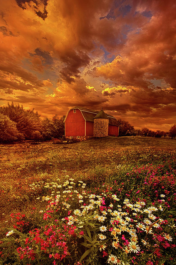 Flower Photograph - In A Heartbeat by Phil Koch