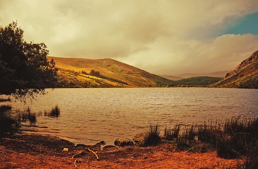 Vintage Photograph - In a Magic Place in a Mystic Mood. Lough Dan. Wicklow. Ireland by Jenny Rainbow