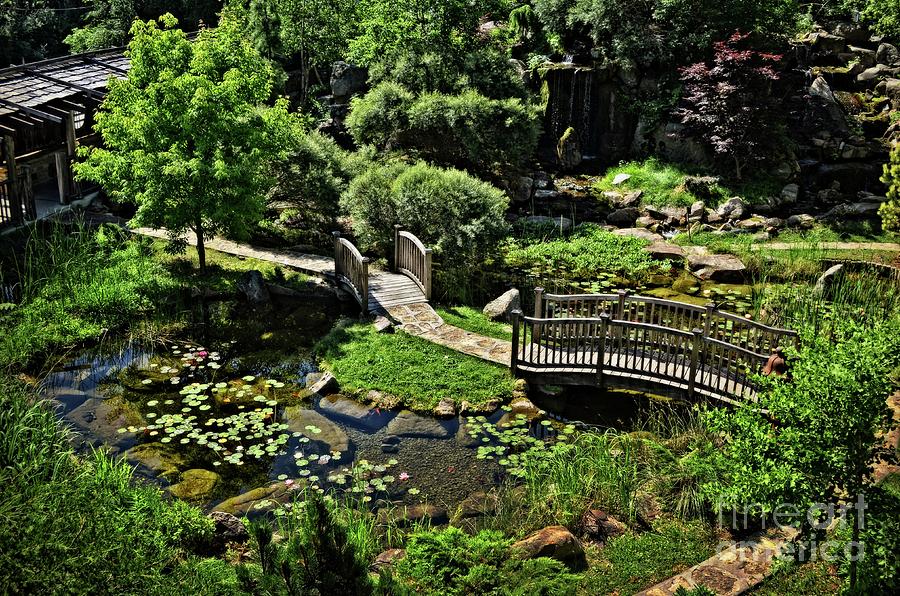 In a Midwest Japanese Garden Photograph by Mary Machare