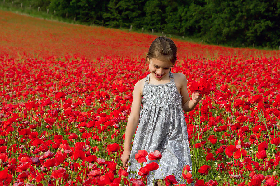 In A Sea Of Poppies Photograph by Keith Armstrong
