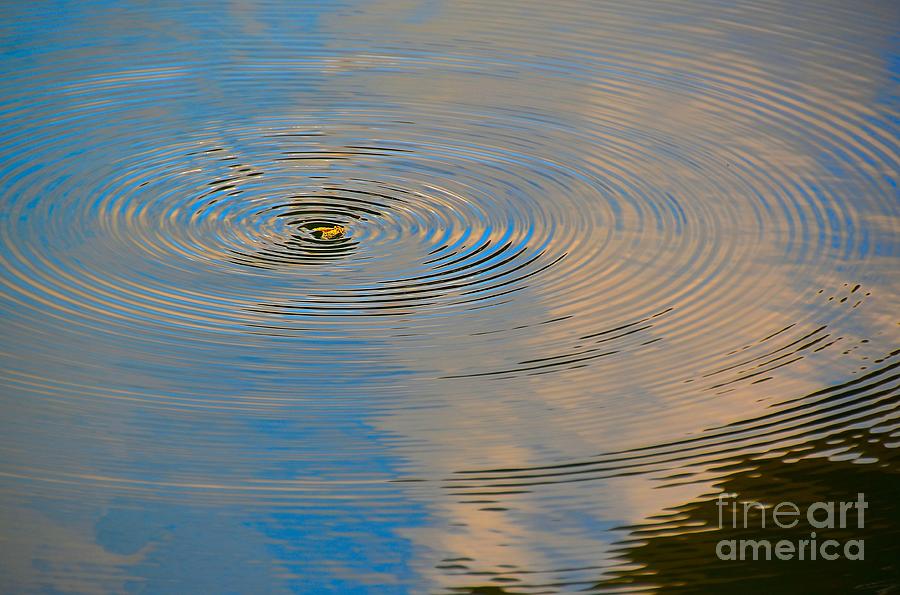 Abstract Photograph - In a Spin by Lauren Leigh Hunter Fine Art Photography