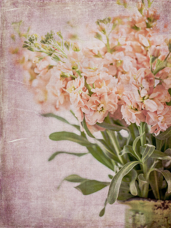 In a Vase #2 Photograph by Rebecca Cozart